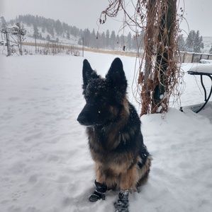 Meet your Posher, Janet